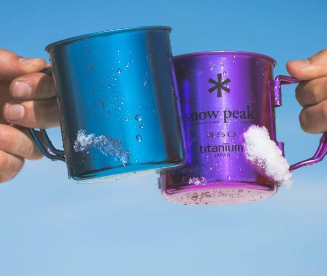 Titanium Double Wall 450 Coloured Mug - Purple