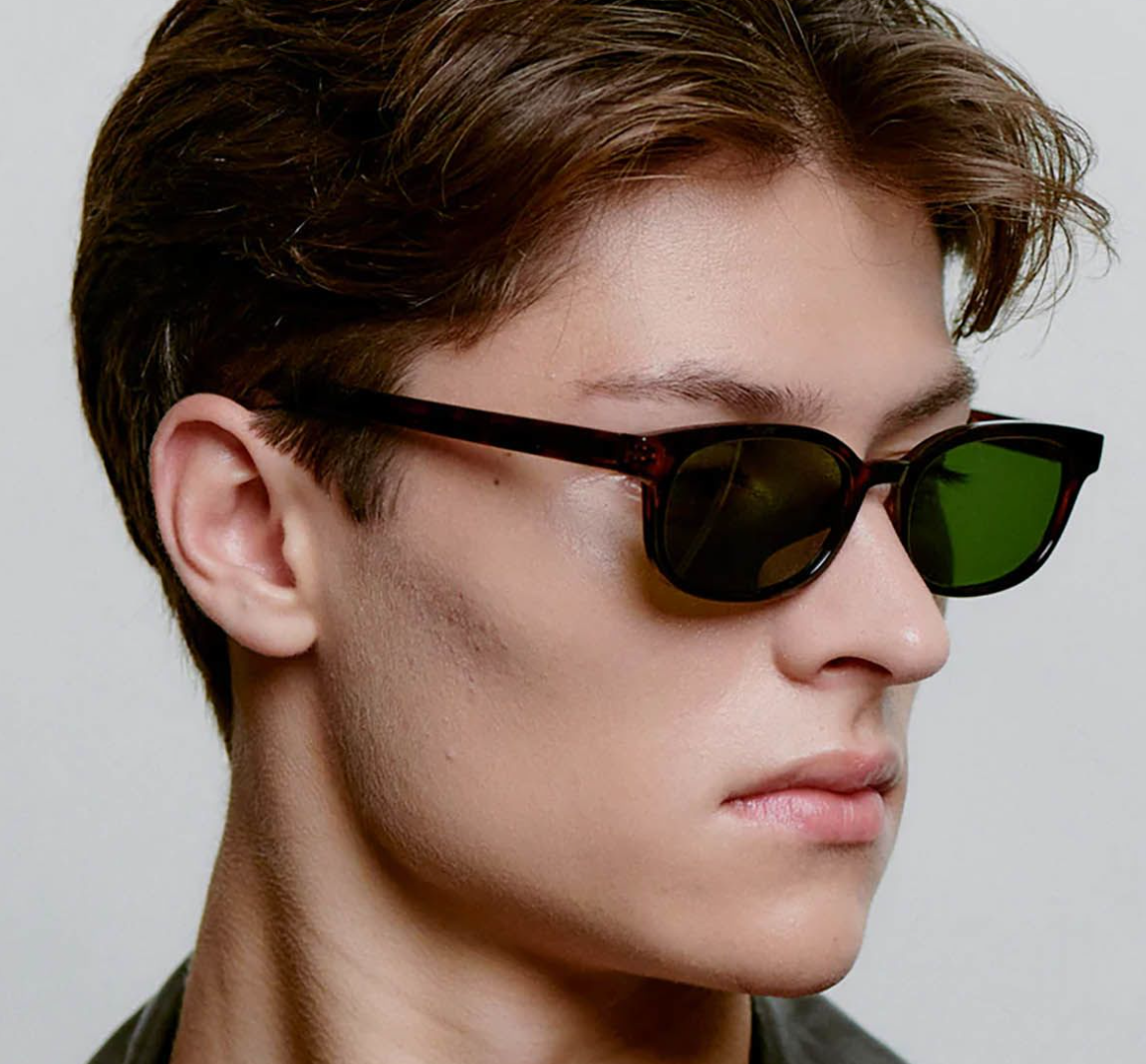 Charlie - Demi Tortoise