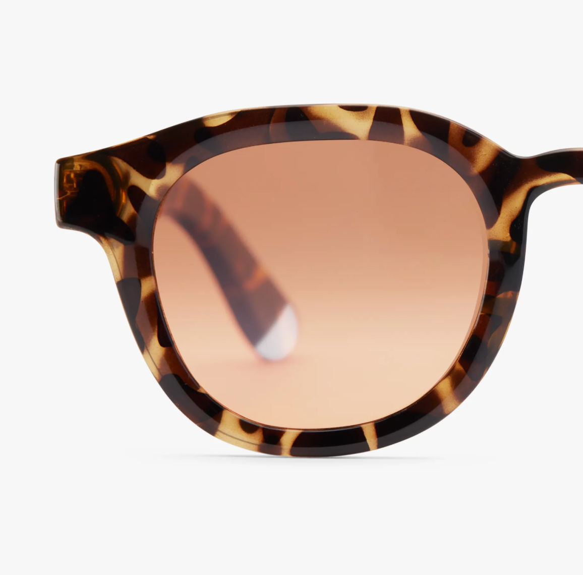 Andy Glossy - Tortoise Sun