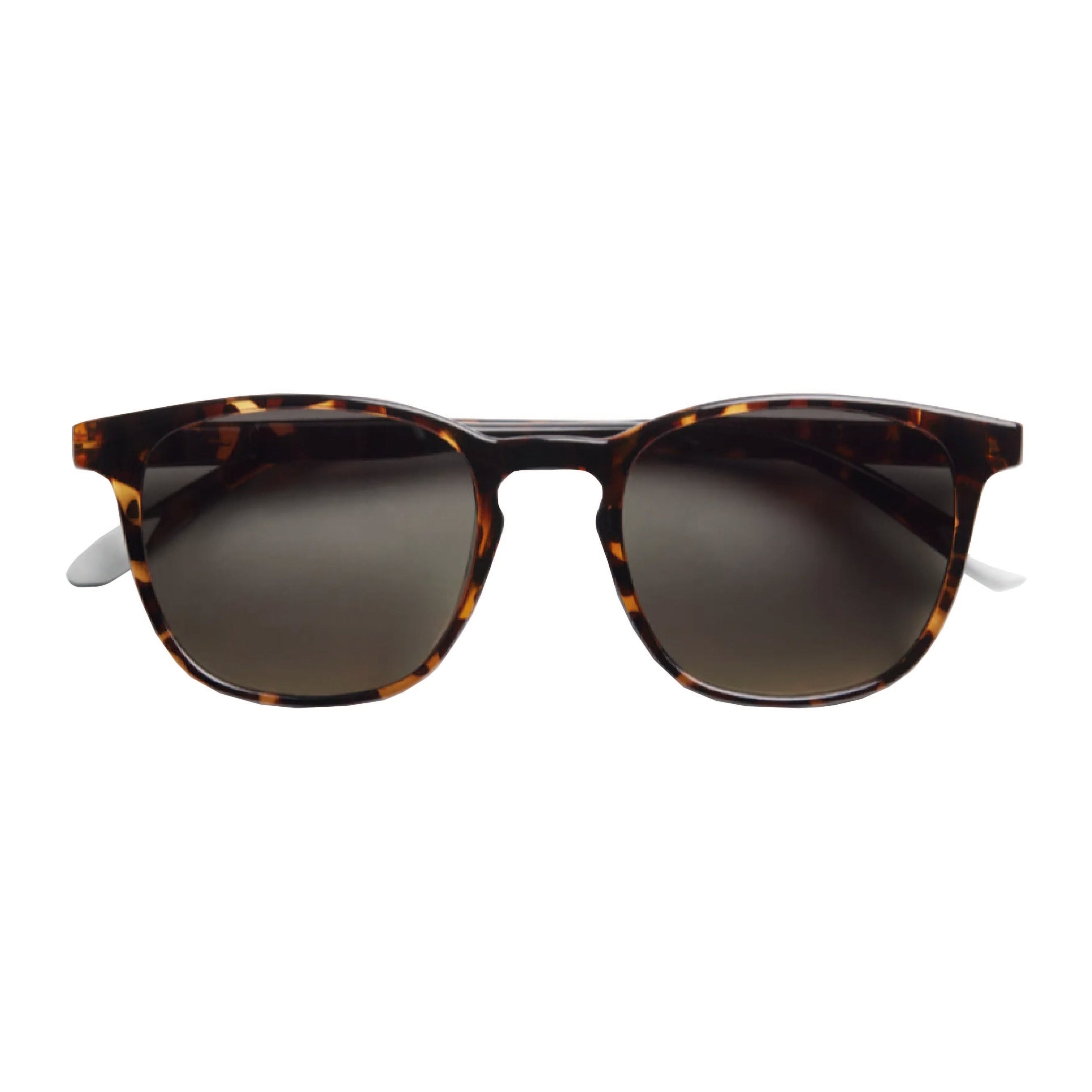 Dalston Tortoise Sun
