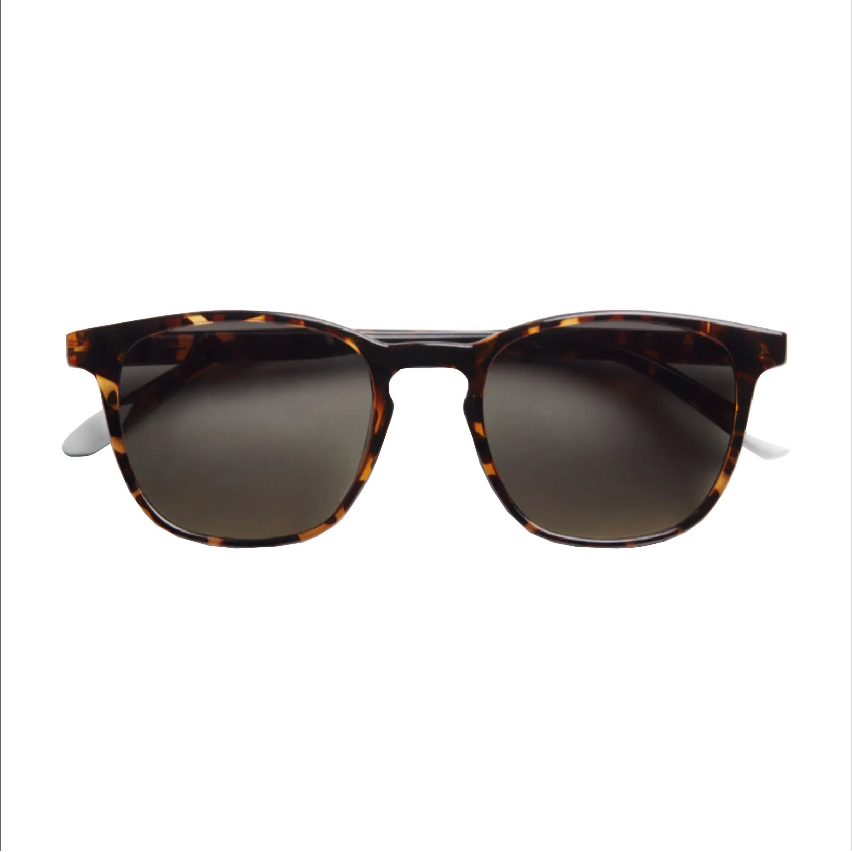 Dalston Tortoise Sun
